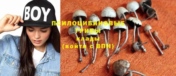 дурь Баксан