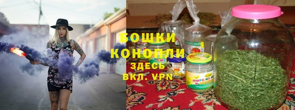 спайс Арсеньев
